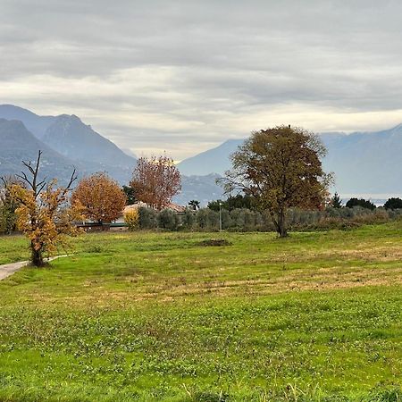 La Finestra Sul Garda Dreaming Holidays San Felice del Benaco Luaran gambar